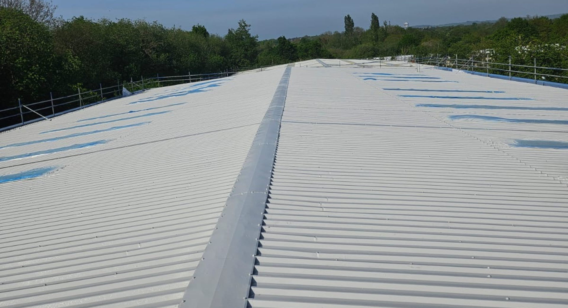 Roof Painting